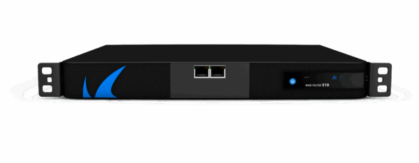 Barracuda Web Security Gateway Appliance 310 - BYF310a